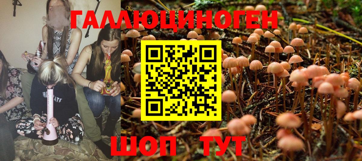 Котлас  Псилоцибиновые грибы MAGIC MUSHROOMS  магазин продажи наркотиков  Вход с VPN 