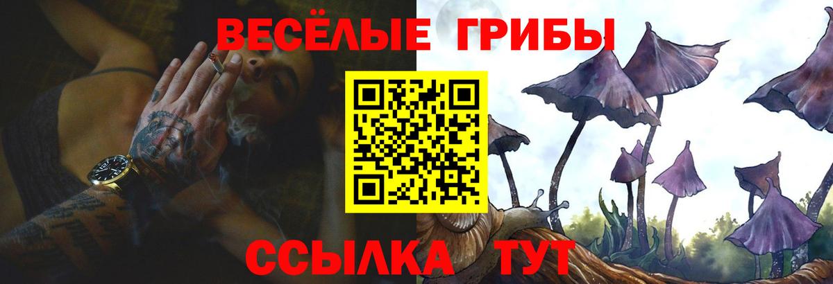 Галлюциногенные грибы мухоморы Котлас
